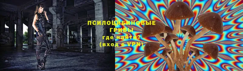 Псилоцибиновые грибы Cubensis  ОМГ ОМГ зеркало  Киреевск 